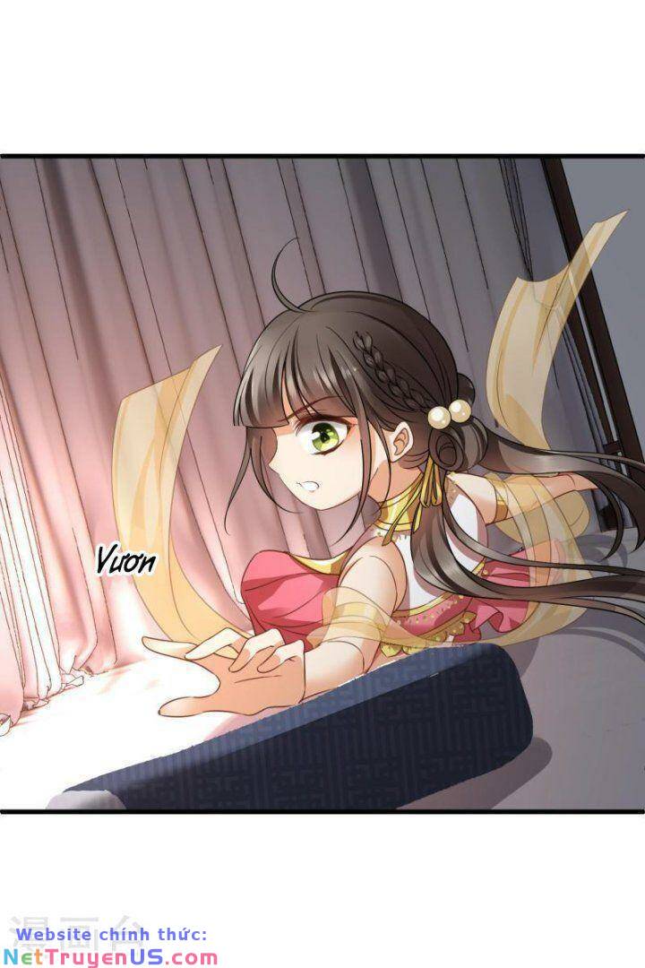 nụ cười của nàng liền ngọt đảo ta tám viên nha chapter 55 6