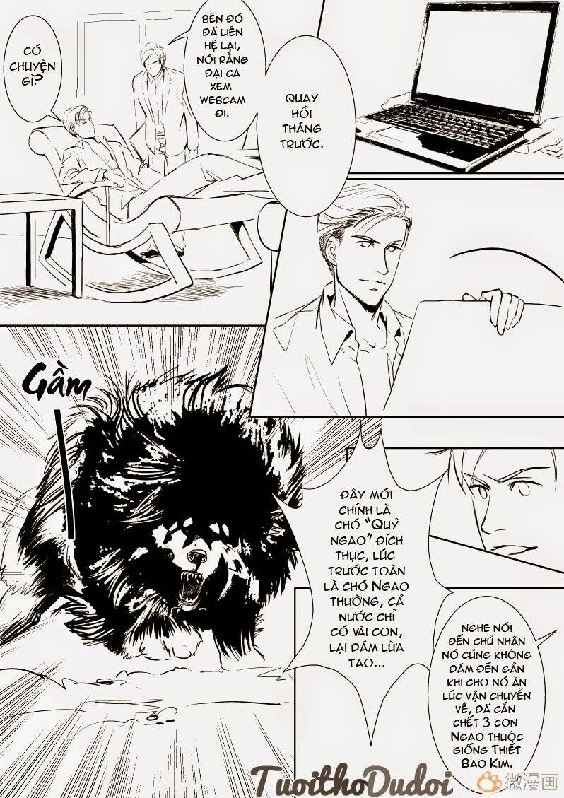 sự mê hoặc của sói chapter 10 11