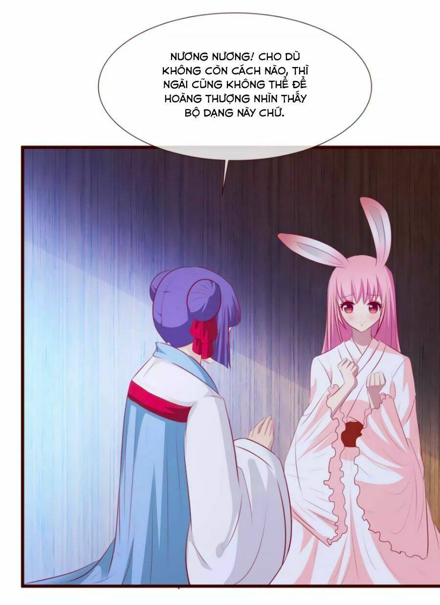 thỏ yêu tiểu vương phi chapter 32 25