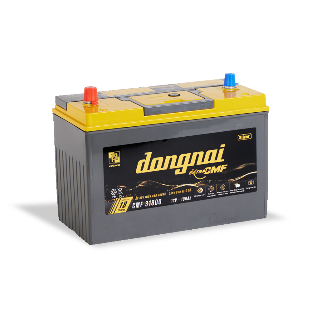 Ắc quy khô miễn bảo dưỡng Đồng Nai EXTRA CMF 31800 | 12V - 100Ah