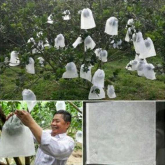 TÚI BỌC BƯỞI CÓ DÂY RÚT SÉT 100 CÁI KÍCH THƯỚC 30X30CM