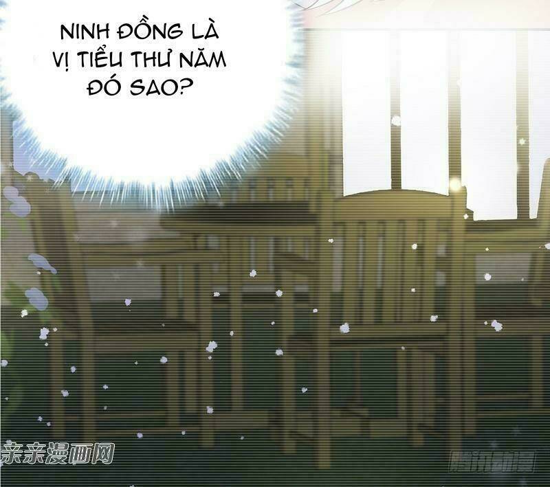 nam thần manh bảo tận diệt chapter 60 39