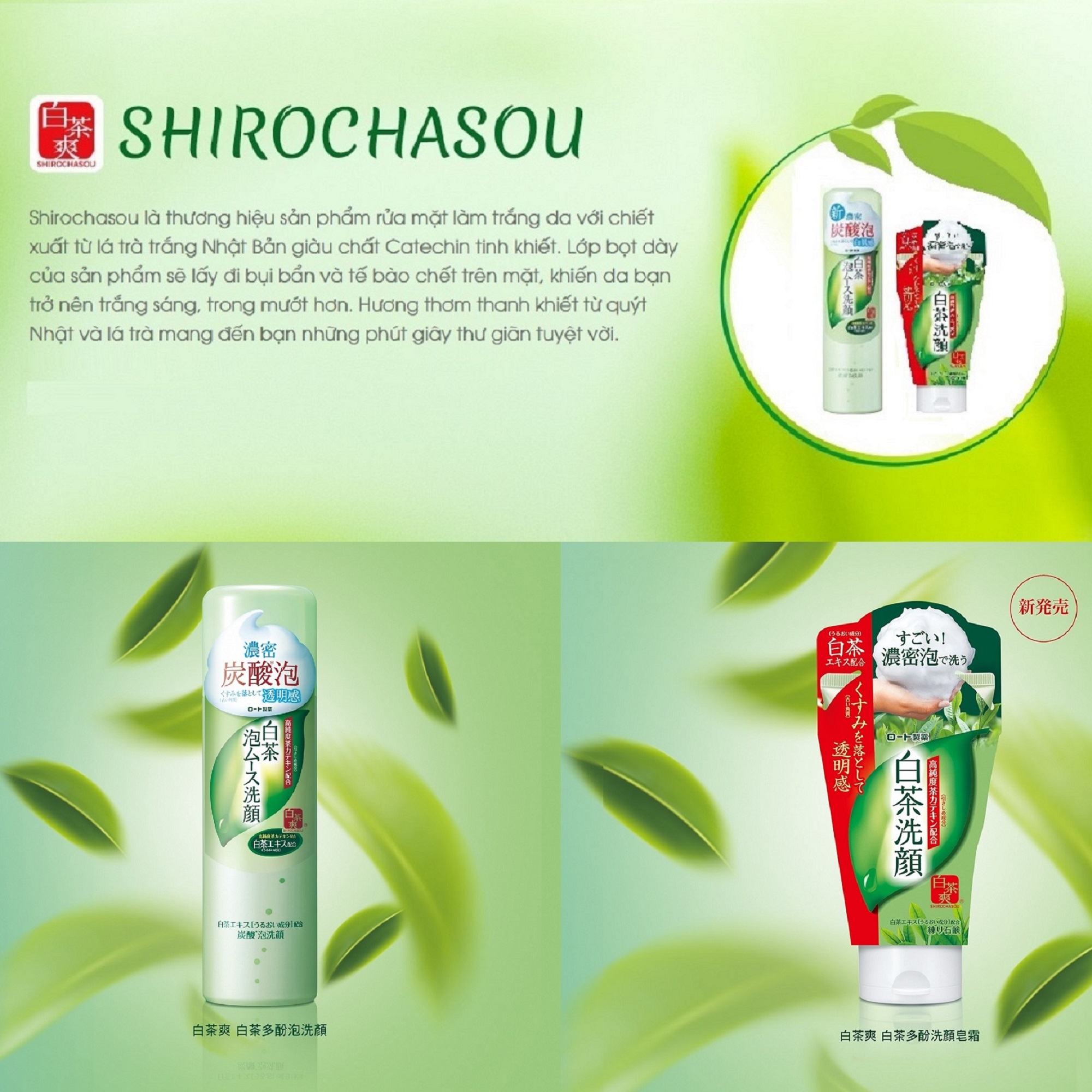 Sữa Rửa Mặt Trà Trắng Shirochasou White Tea Face Wash (120g)