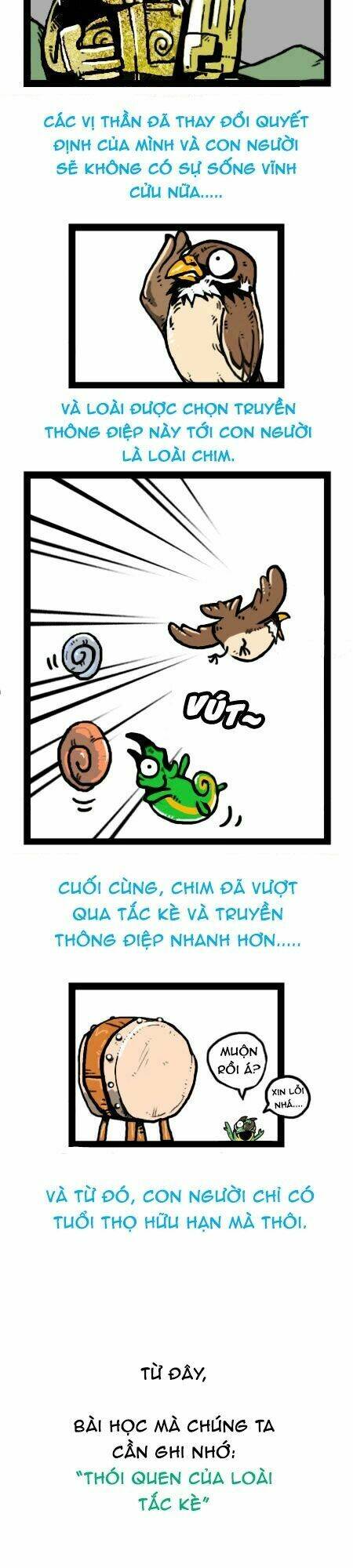 earth, human, and animal chapter 19 19