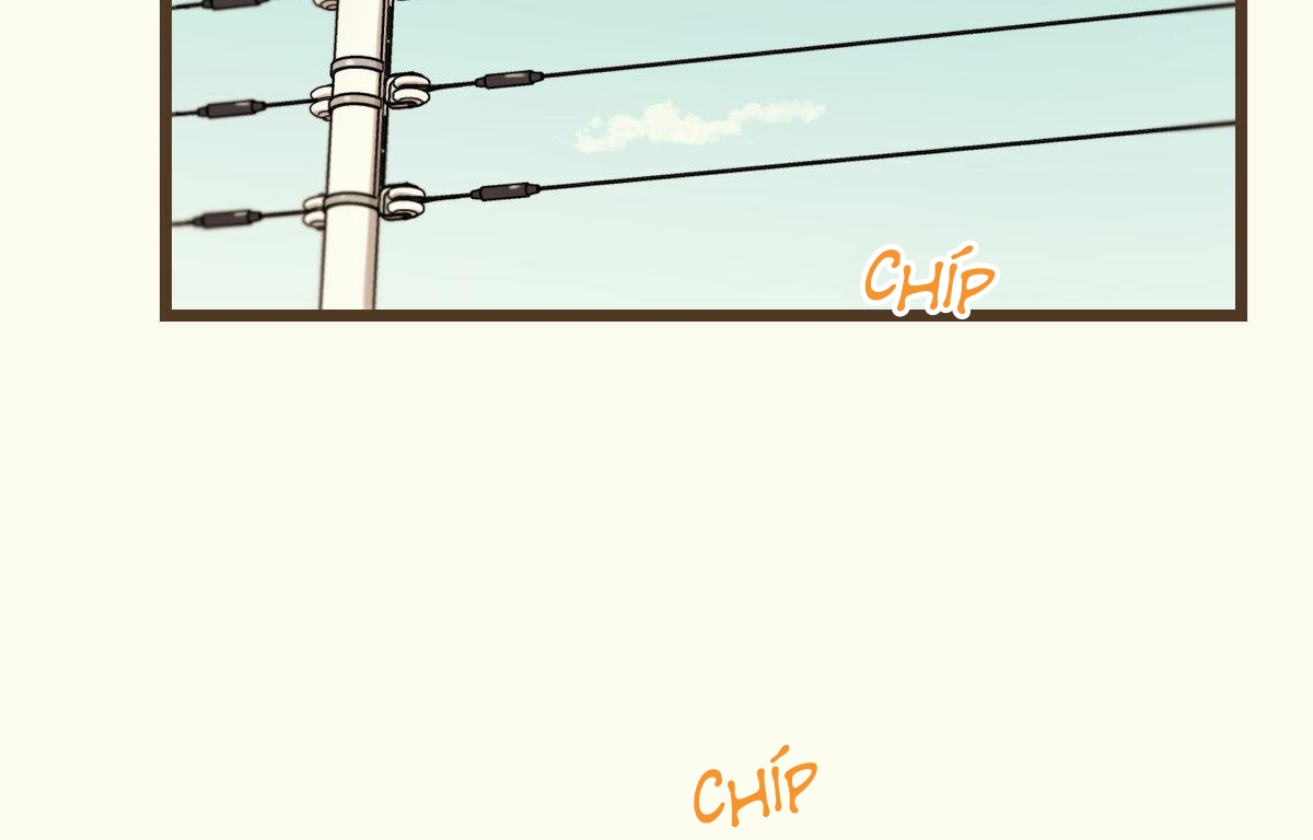 tương phùng chapter 15 227