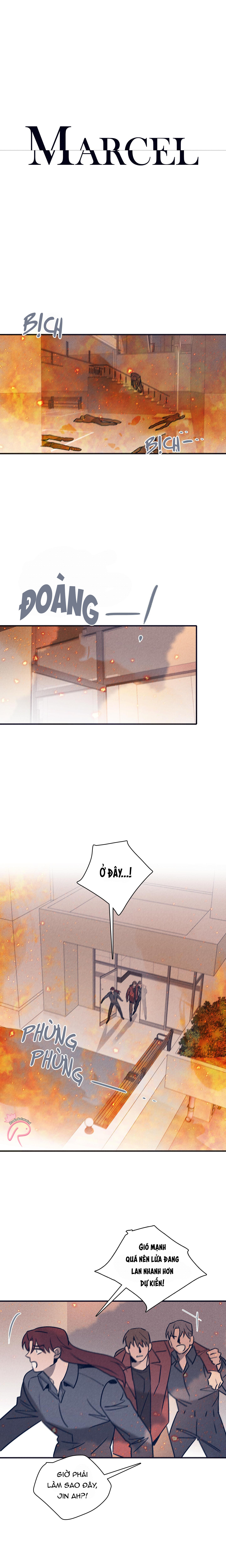 độc dược (marcel) chapter 55 1