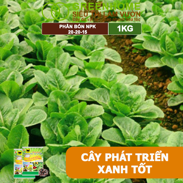 Phân Bón NPK 20-20-15, Greenhome, Đầu Trâu, 1Kg, Chuyên Hoa, Cây Cảnh Giúp Ra Hoa, Hoa Đẹp, Lâu Tàn