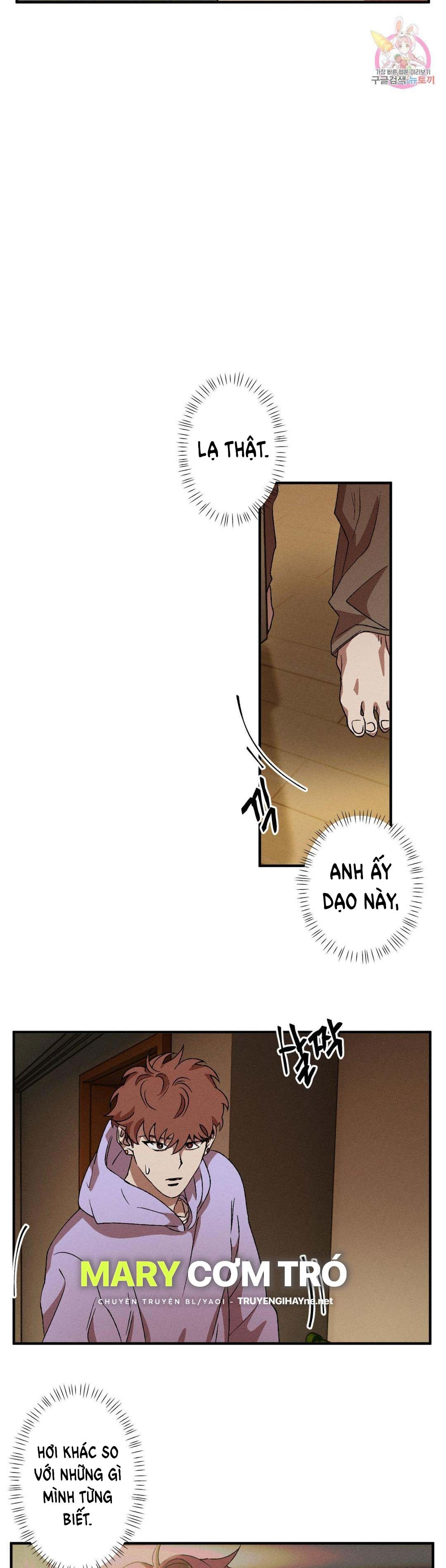 bẫy kép chapter 39.1 8