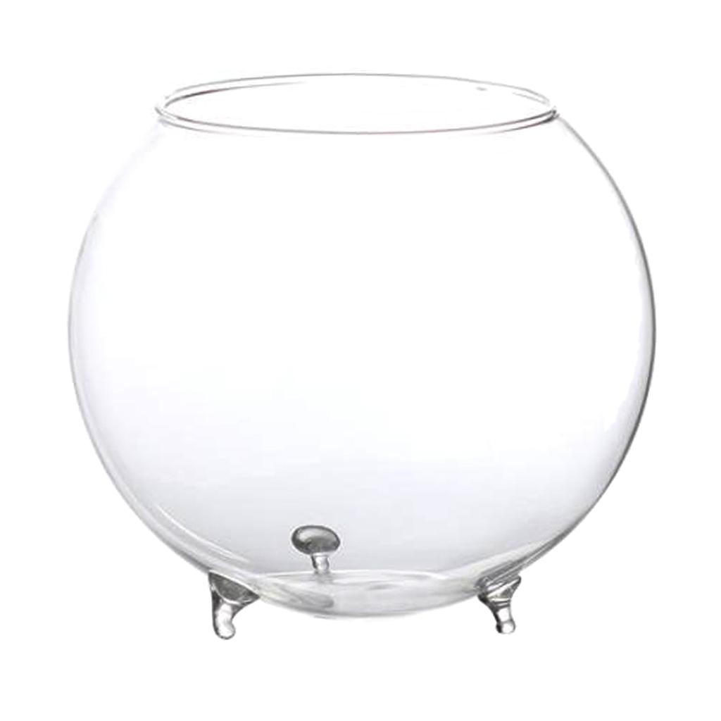 3 Xclear Kính Hoa Thủy Canh Bình Micro DIY Phong Cảnh Terrarium Chai S