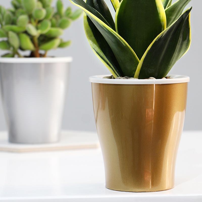 Chậu cây để bàn Oliz W0 - Chậu trồng cây tự tưới nước cho cây. Dùng trang trí nhà cửa, bàn làm việc