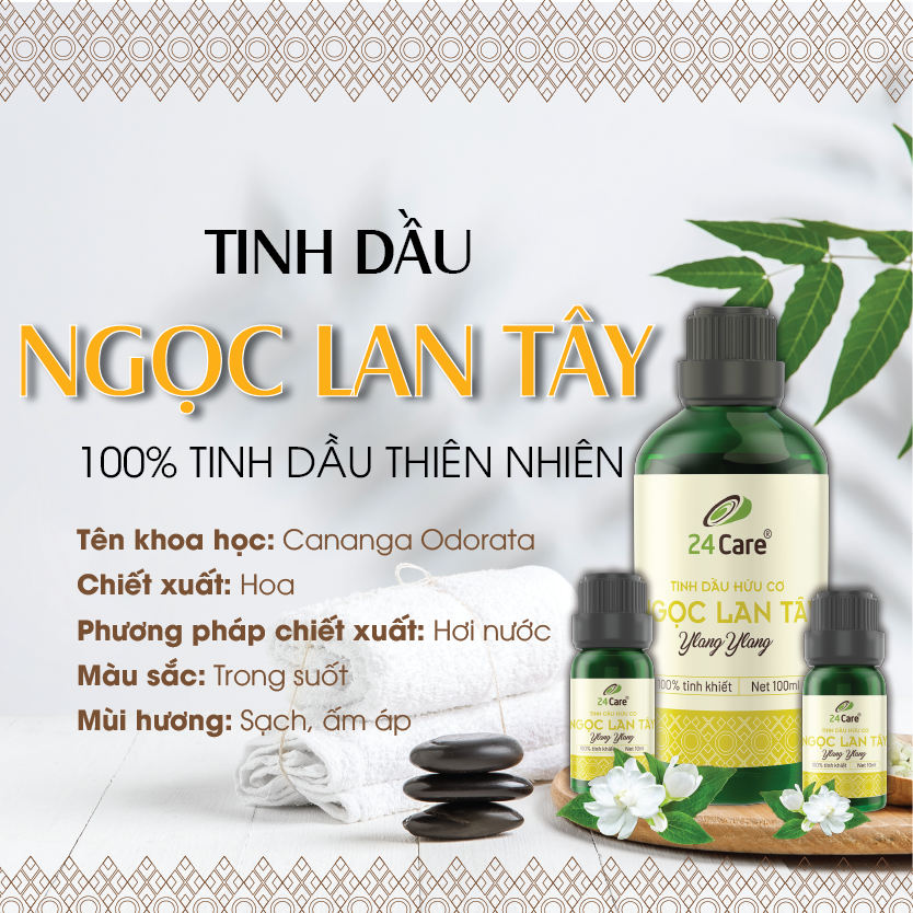 Tinh Dầu Ngọc Lan Tây 24Care 100ml - Tinh Dầu Ylang Ylang Xông Phòng Giúp Ngủ Ngon, Giảm Căng Thẳng, Đau Đầu, Đau Nhức Xương Khớp, Khử Khuẩn và Thơm Phòng