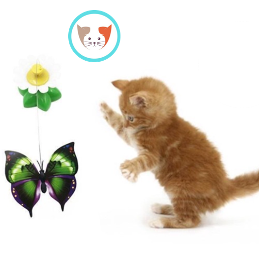 BƯỚM QUAY VÒNG SẮC MÀU- Đồ chơi cho mèo, thú cưng (không kèm pin)