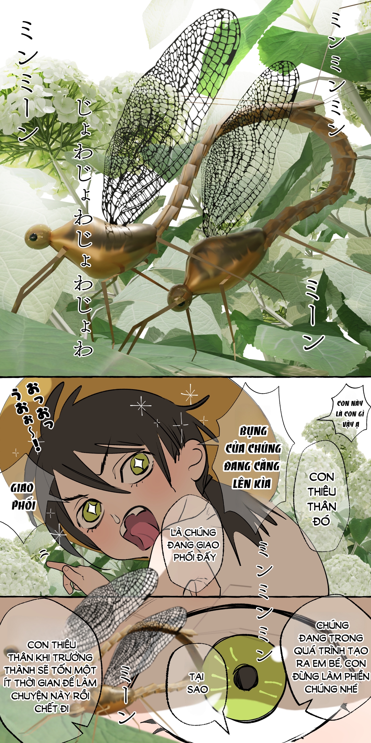 [21+] cô dâu có 5 nhân cách ~ bác sĩ tâm thần x bệnh nhân đa nhân cách - full màu chapter 1.2 2