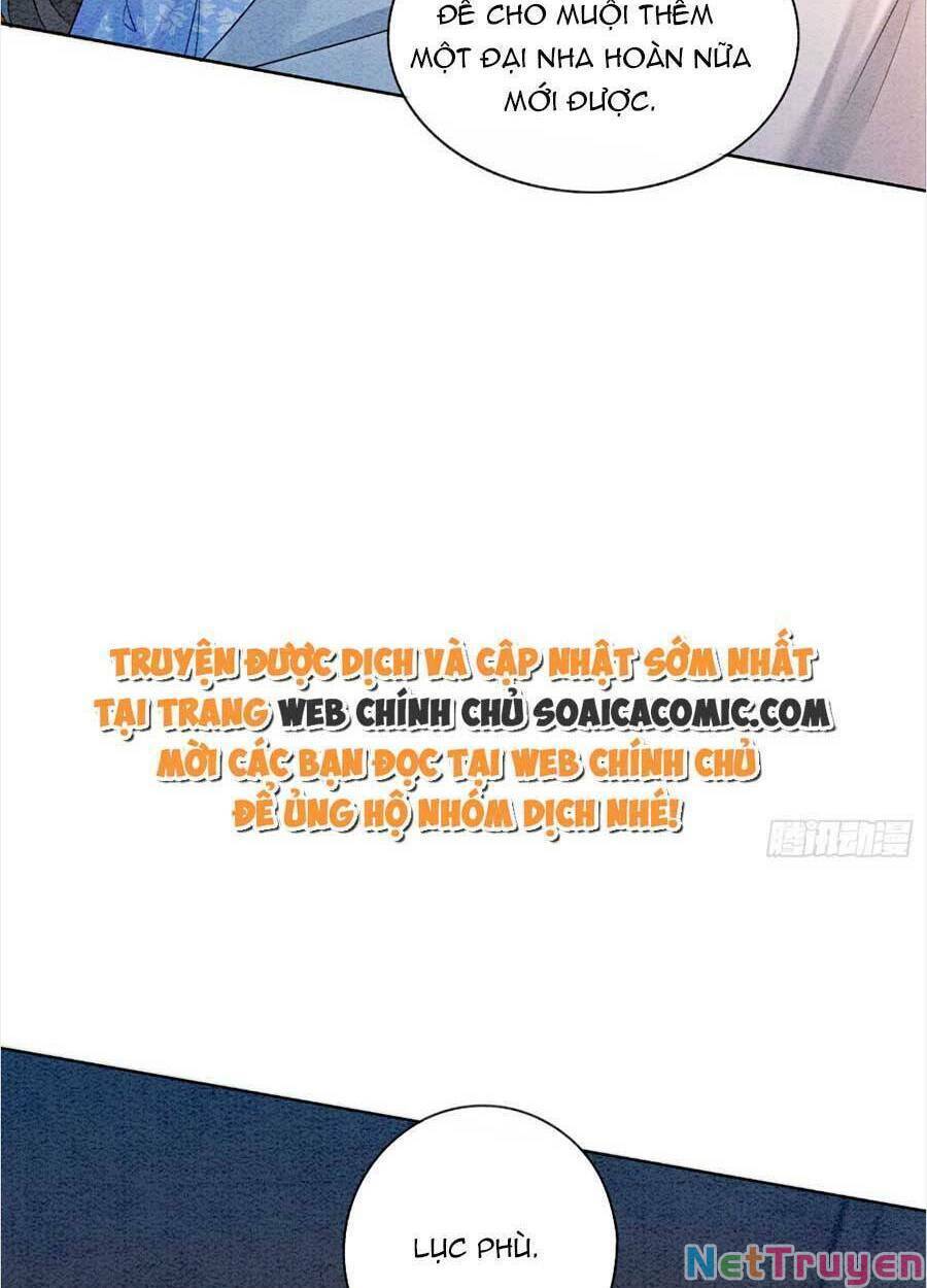 bắt đầu hủy hôn để công lược vương gia chapter 49 18