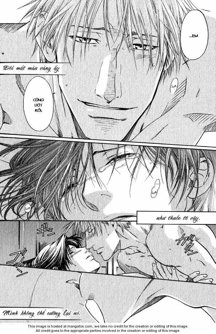 maiden rose chapter 11.5 26