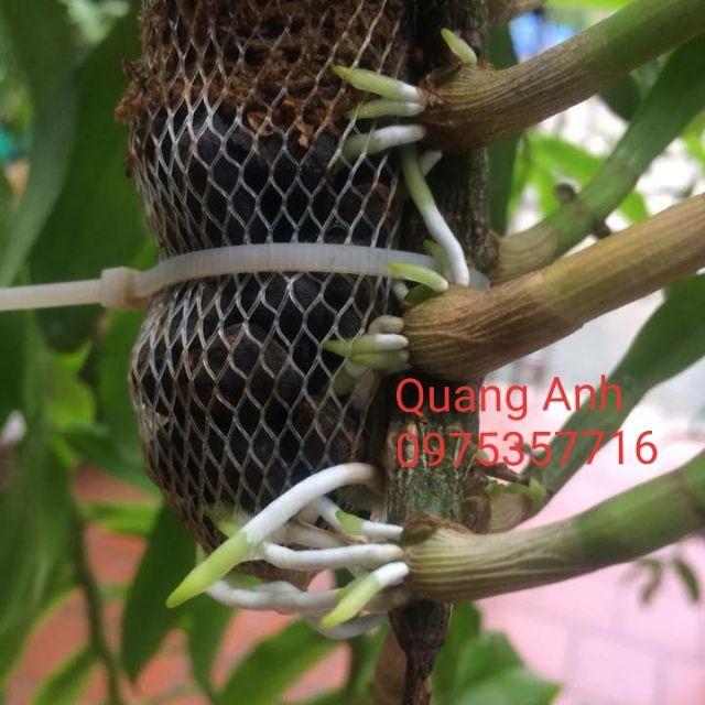 15 Túi Lưới Phân Dê Trồng Hoa Lan