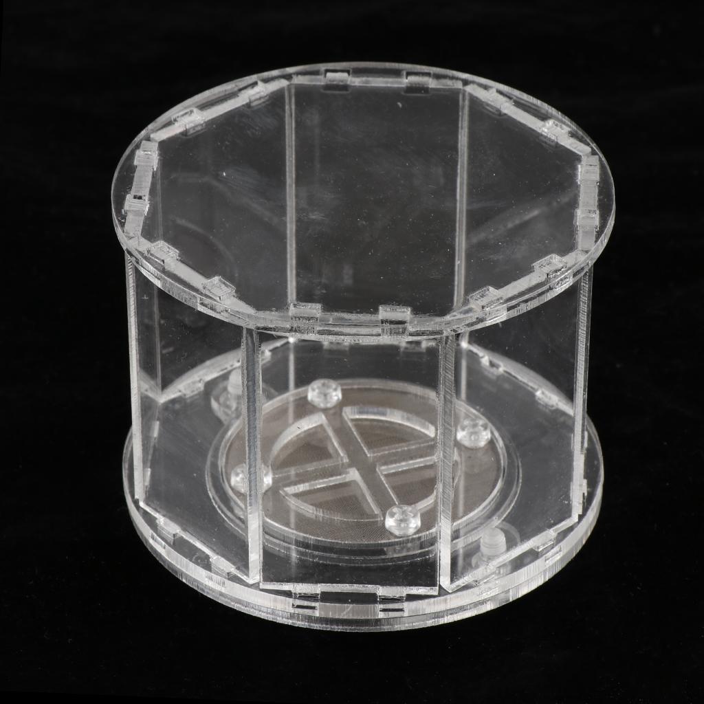 Spider Insect Reptile Tank Vivarium Cage Box Transparent Acrylic Terrarium