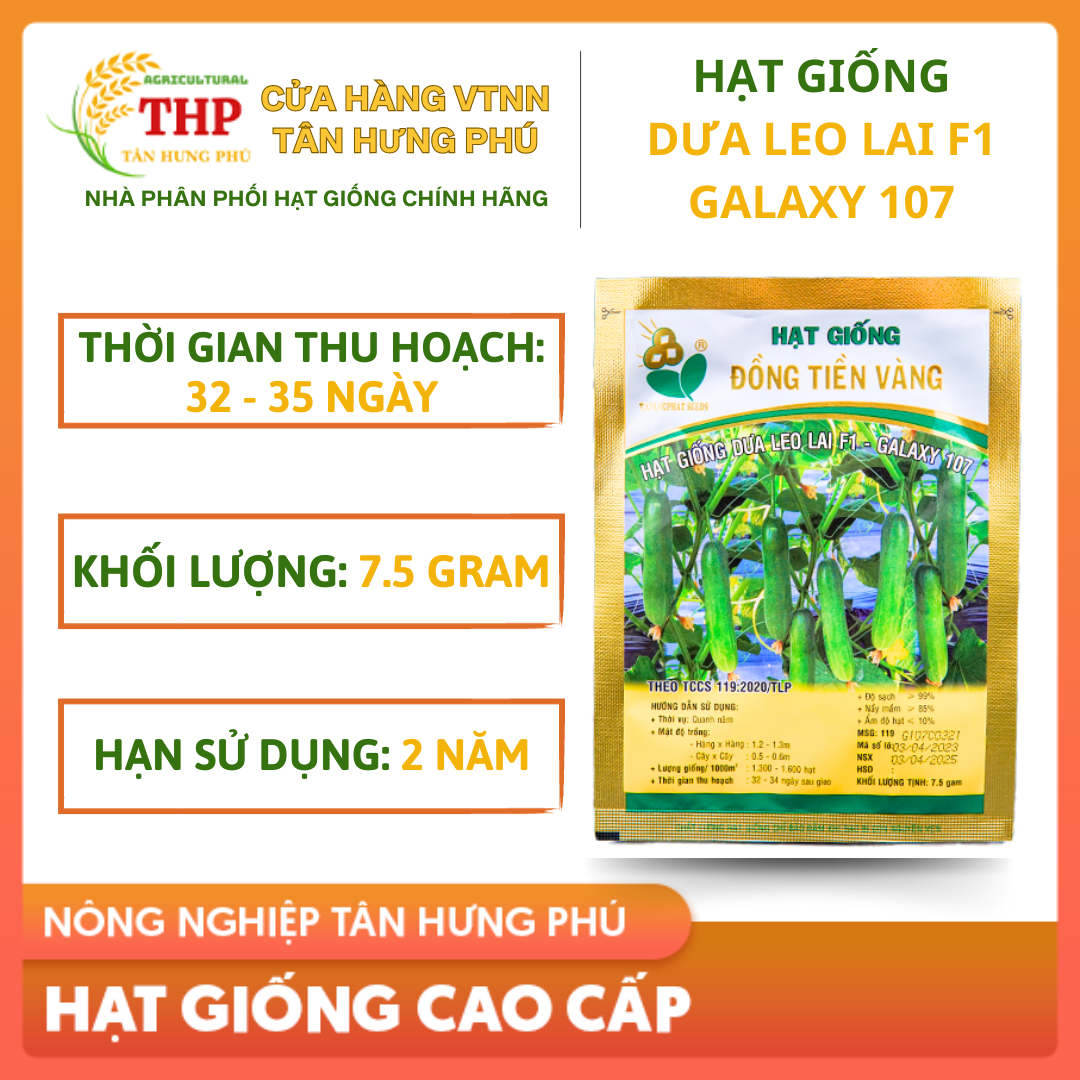 Hạt giống Dưa Leo Lai F1 Galaxy 107 | Hạt Giống | gói 7.5gr