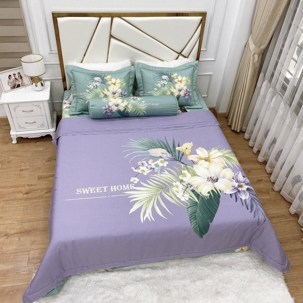 Bộ Ga Phủ Cotton Living