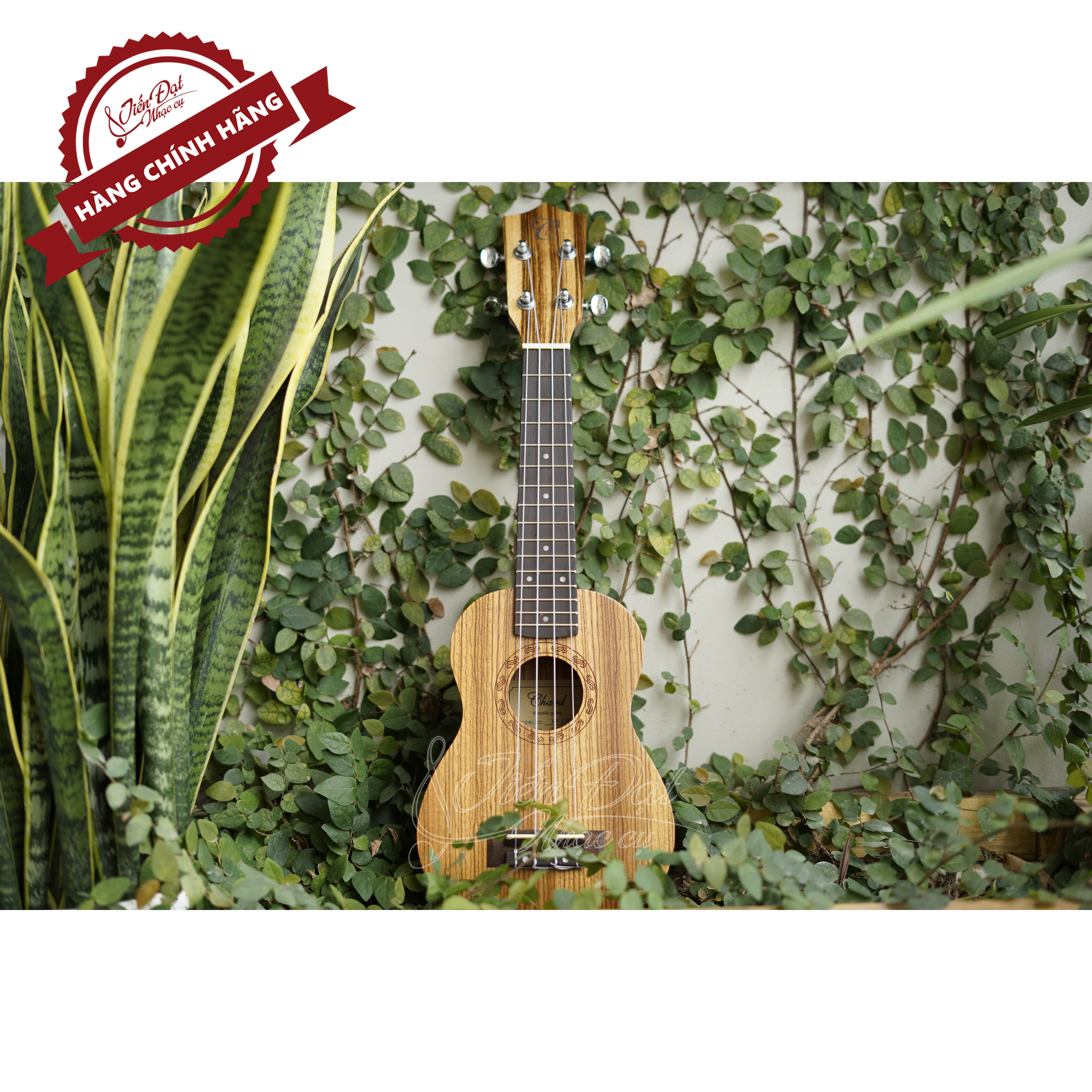 Đàn Ukulele Soprano CHARD U-21B, Mặt Đàn Gỗ Hồng Sắc