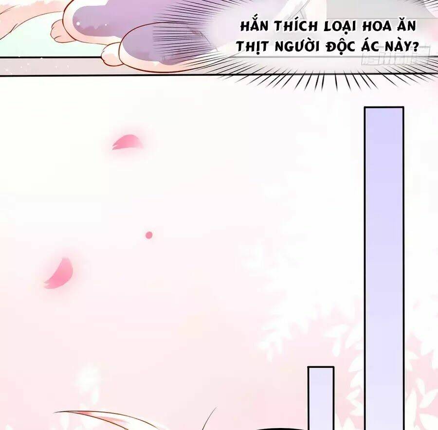 dưỡng thú vi phi chapter 2 16