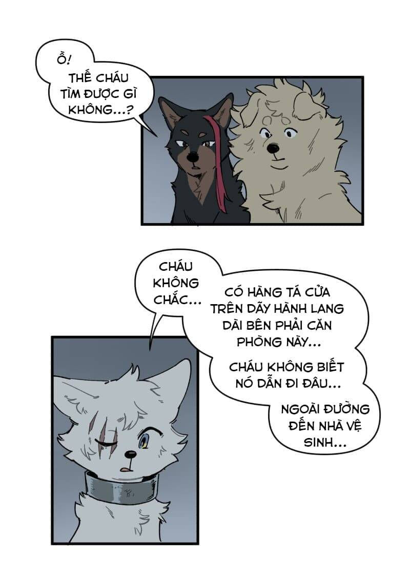 lumine - cội nguồn ánh sáng chapter 145 29