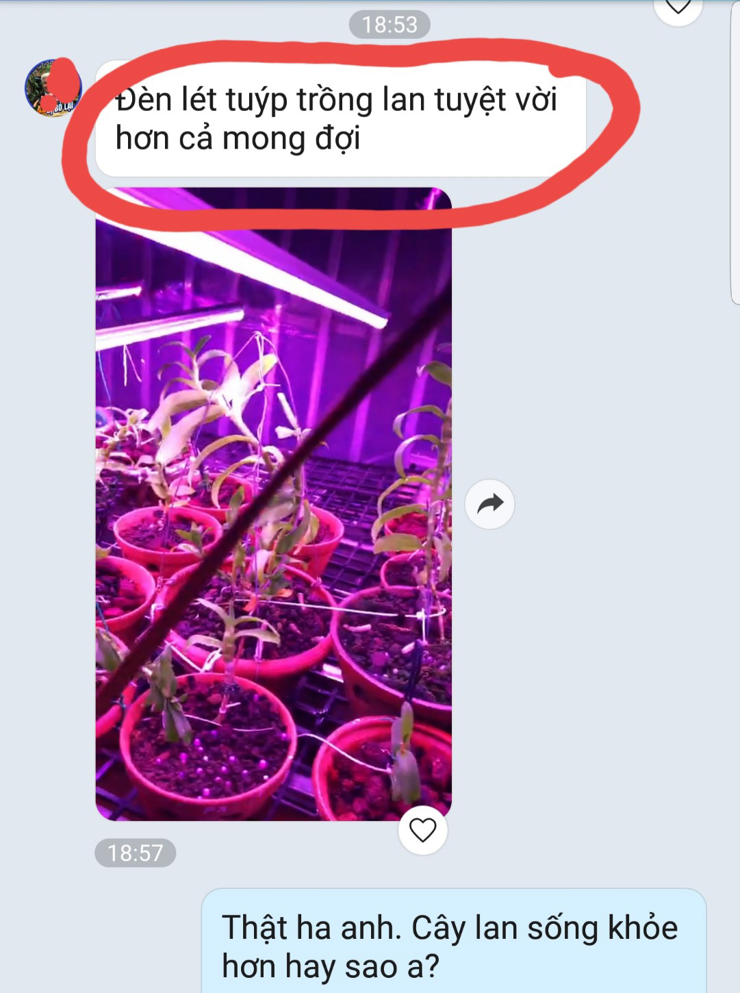 Đèn Trồng Cây Hoa Lan trong nhà LED Smart Light giúp bổ sung ánh sáng để cây hoa lan phát triển tốt và ra chồi nhanh (Dài 1.2m/Bộ)