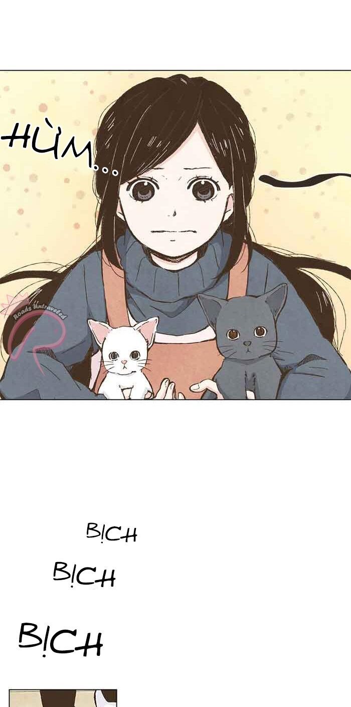 honey! honey! marry me! chapter 74 29