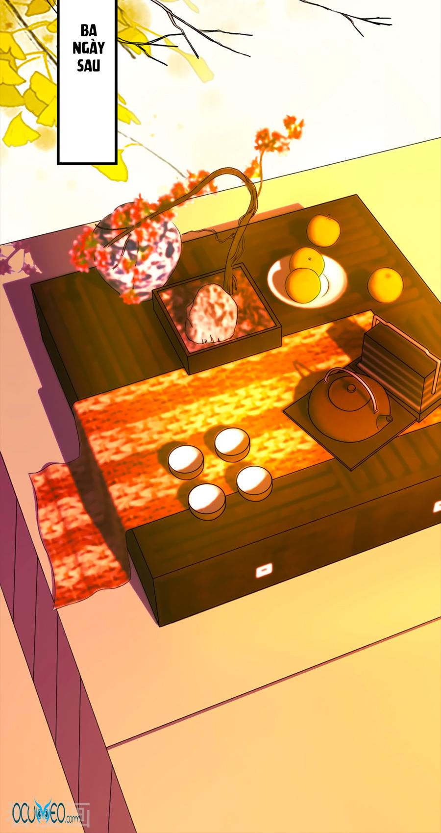 từ đây vương gia không thượng triều sớm chapter 24 27