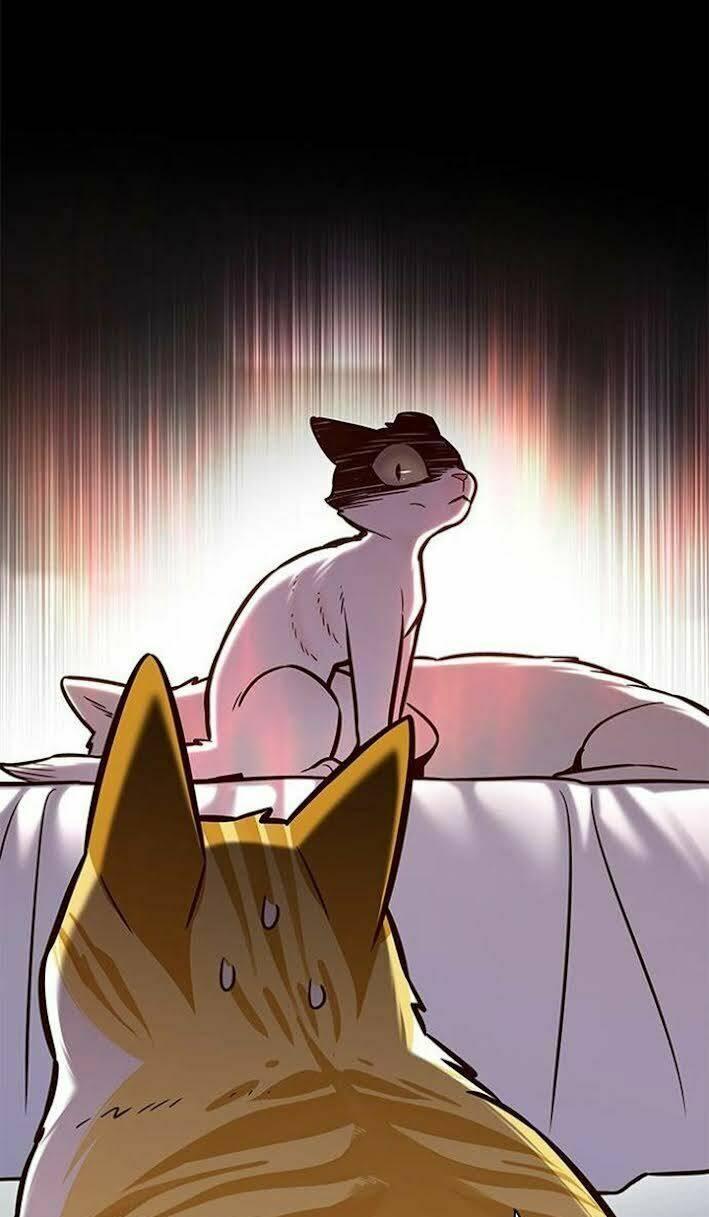 biến thân thành mèo chapter 166 15