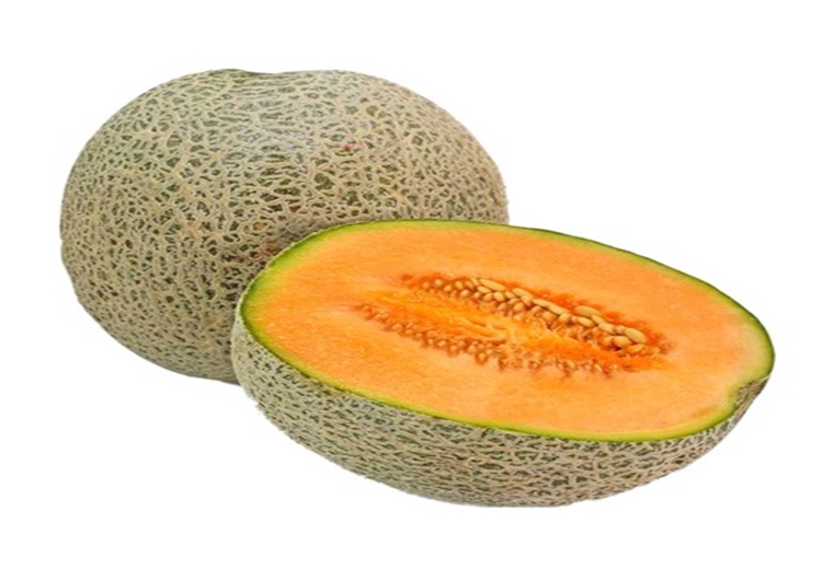 Dưa Lưới Nhật Ngon Loại 1 - trái 1,5kg