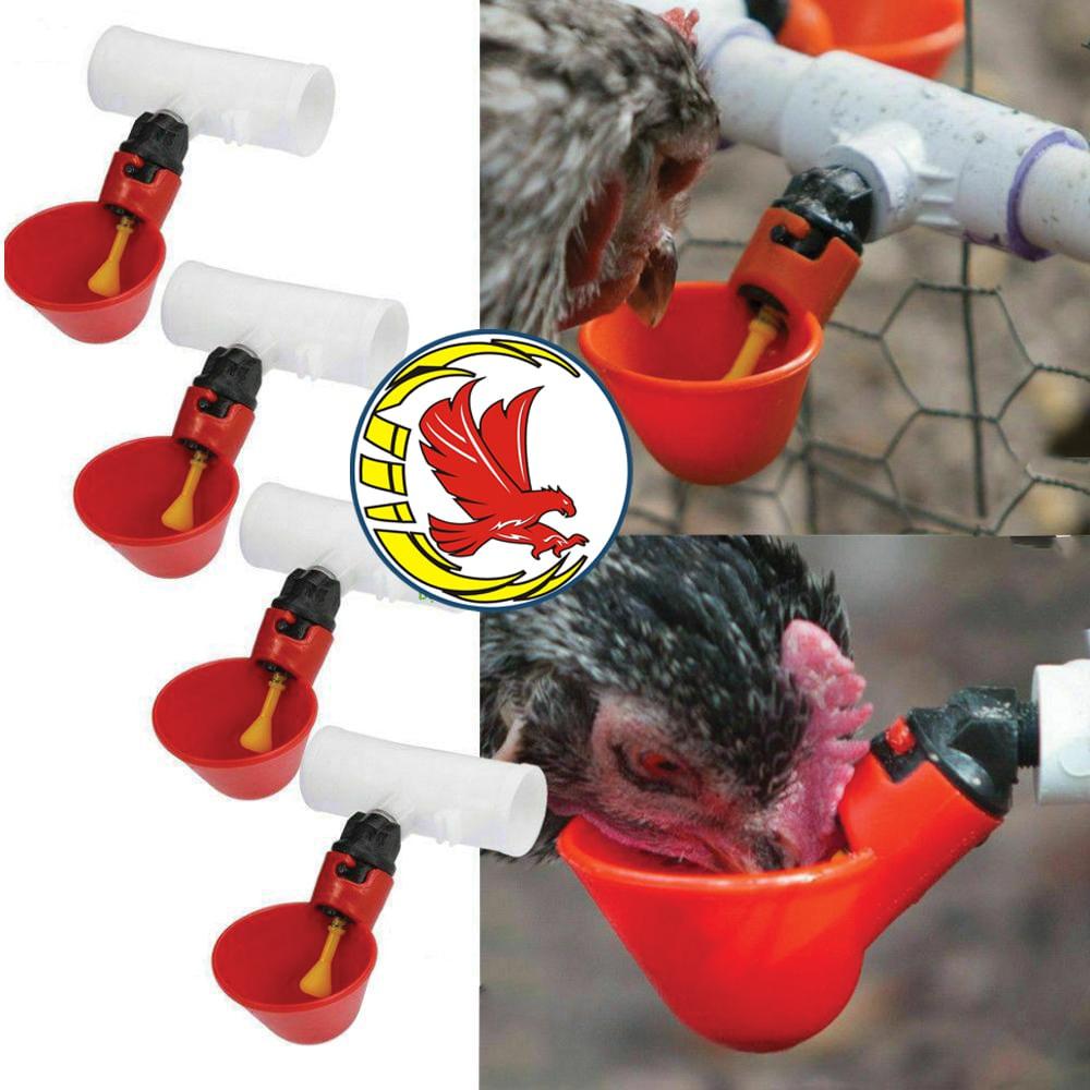 Cốc uống nước tự động cho gà, chim x5 cái