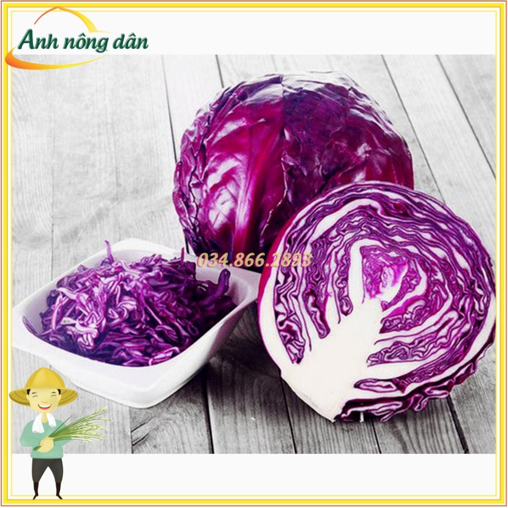 Gói 1g Hạt giống bắp cải, cải bắp tím F1 cao sản nảy mầm tốt, chất lượng cao, dễ trồng