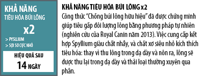 ho-tro-tieu-hoa-bui-long-o-meo