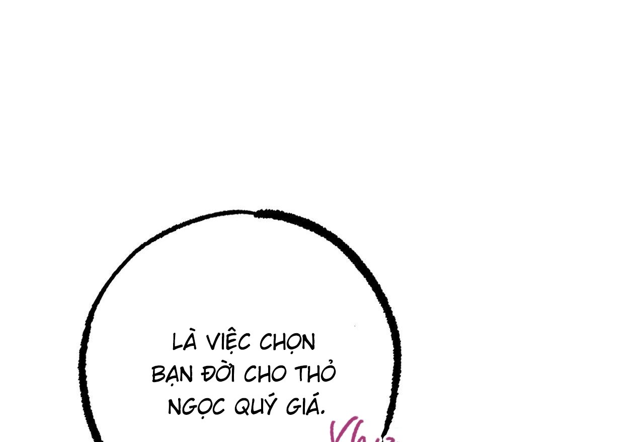 những chú thỏ của hapypy chapter 62 141