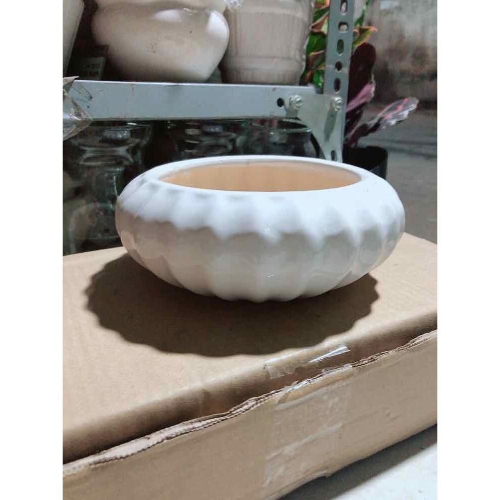 Chậu Trồng Cây Bán Chạy
