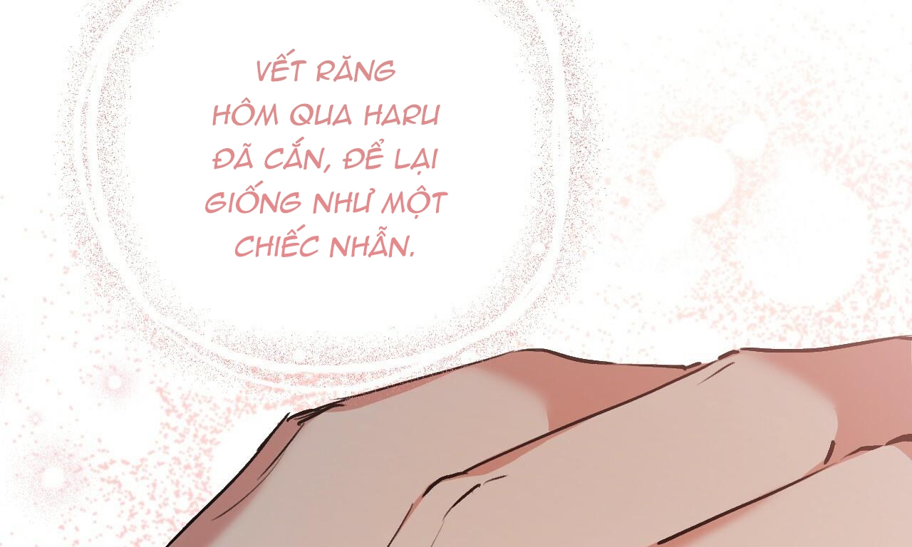 đàn thỏ của habibi chapter 44 24