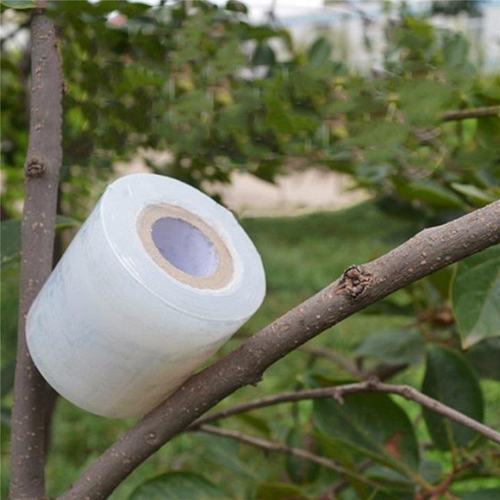 Bộ 5 cuộn băng keo ghép cây tự dính