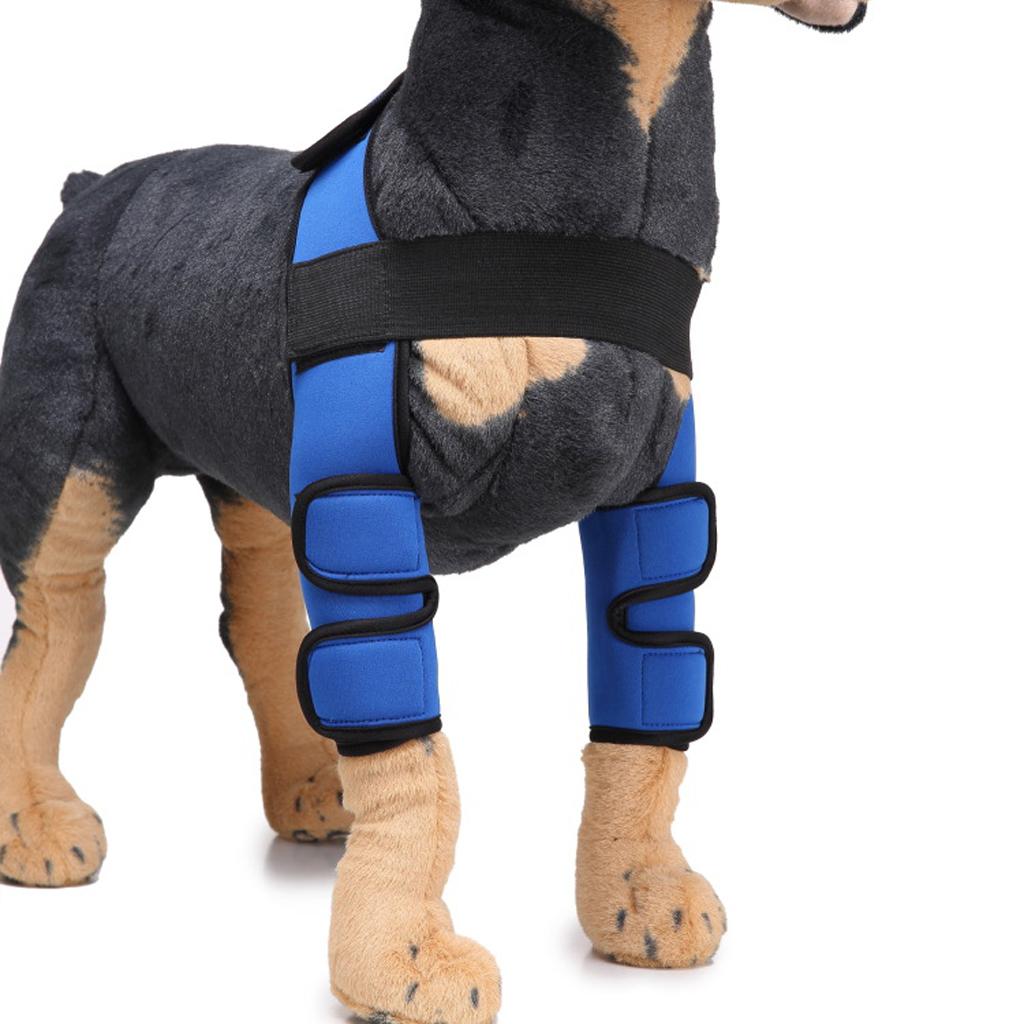 Dog Leg Brace Knee Leg Joint Protector Support Prevents Injuries and Sprains