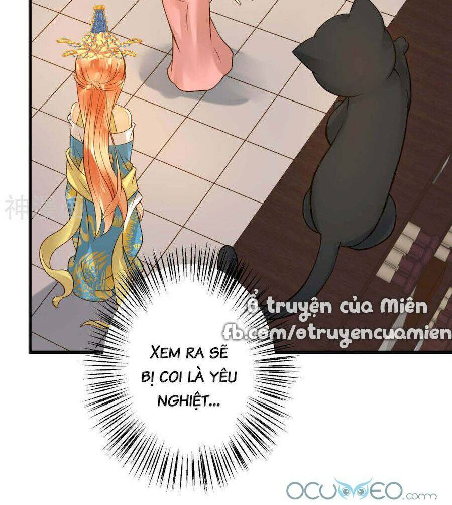 quý phi này có chút cơ chapter 19 17