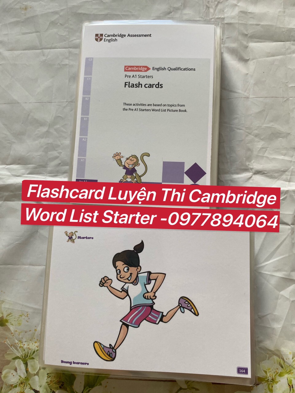 Flashcard tự vựng luyện thi CAMBRIDGE STARTER (214 thẻ ép plastic)