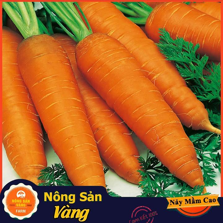 Hạt giống Cà Rốt Thường F1