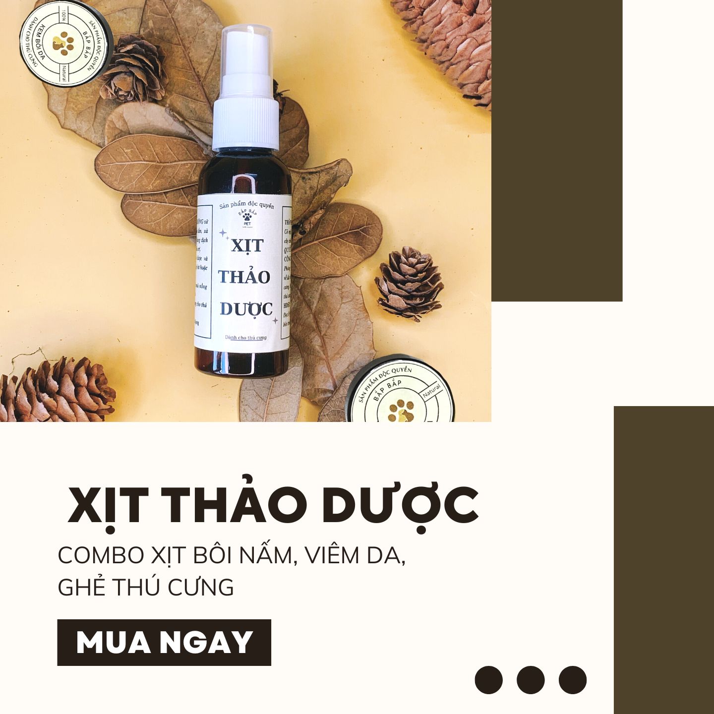 Combo Xịt Bôi Nấm viêm da chó mèo