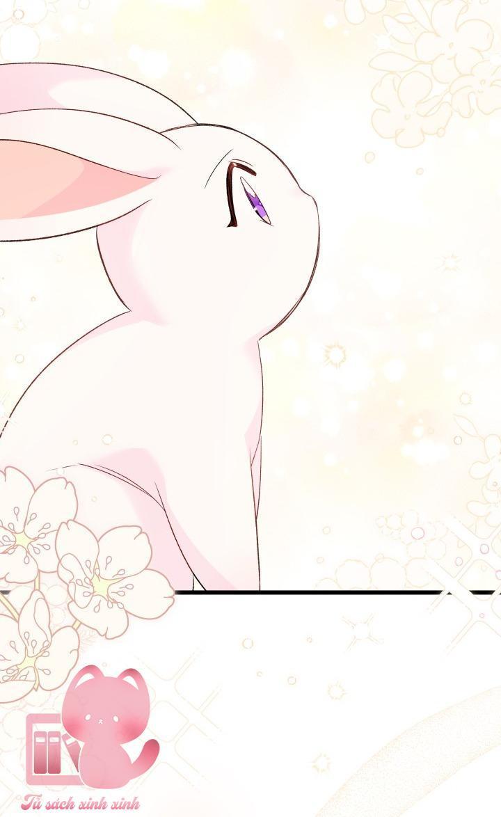 quan hệ cộng sinh giữa báo đen và thỏ trắng chapter 81 62