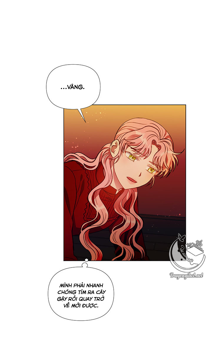 elizabeth chapter 41.1 10