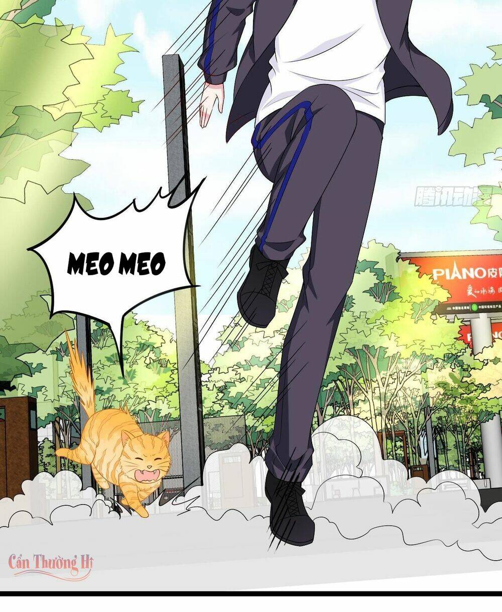 đế thiếu ngọt sủng: manh thê sống lại không ngoan chapter 13 6