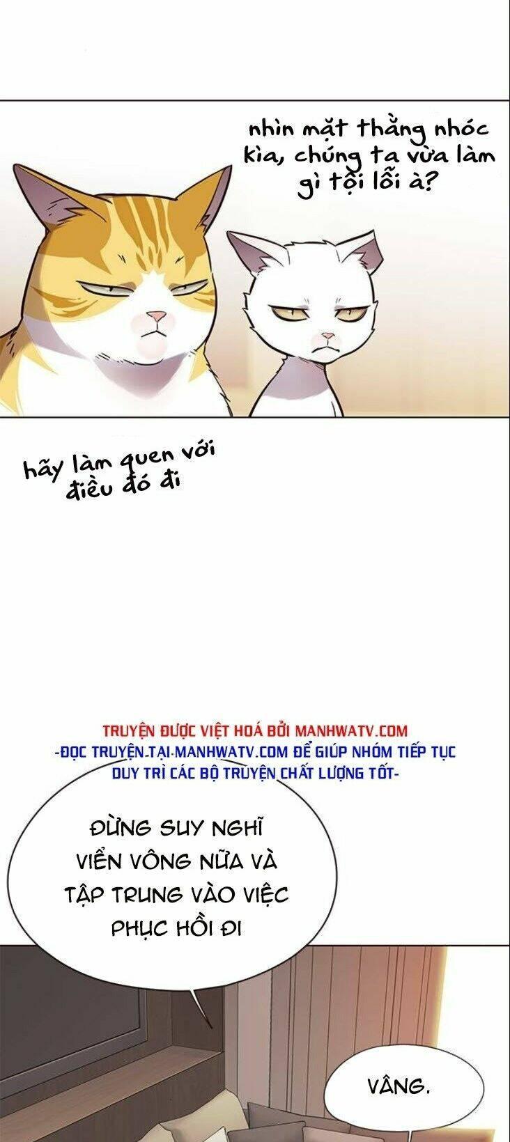 biến thân thành mèo chapter 146 53