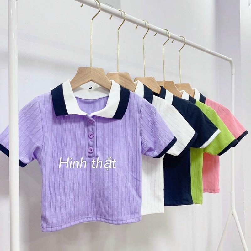 Áo polo croptop thun gân mịn siêu hot