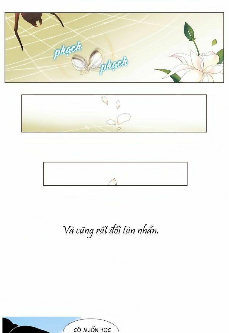 12 nights chapter 19 29