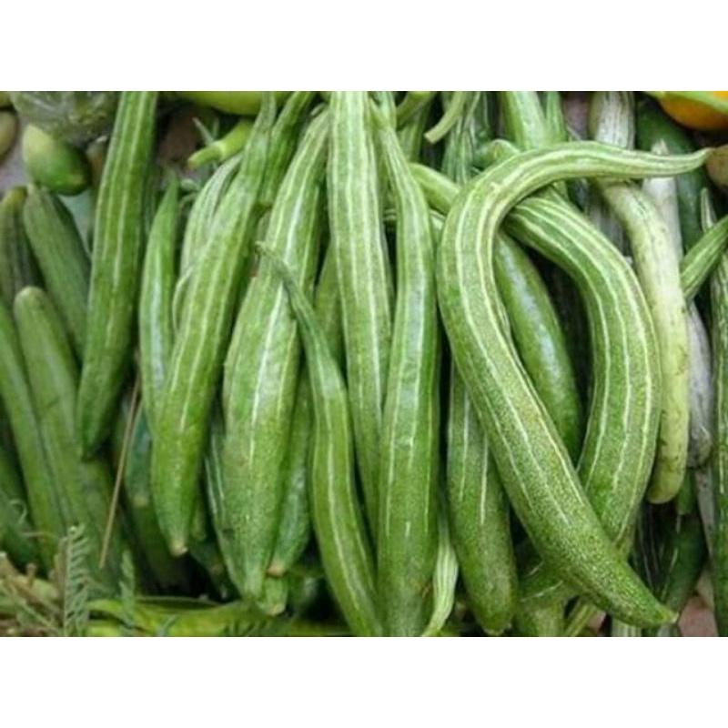 Hạt giống mướp rắn , đóng gói 1gr